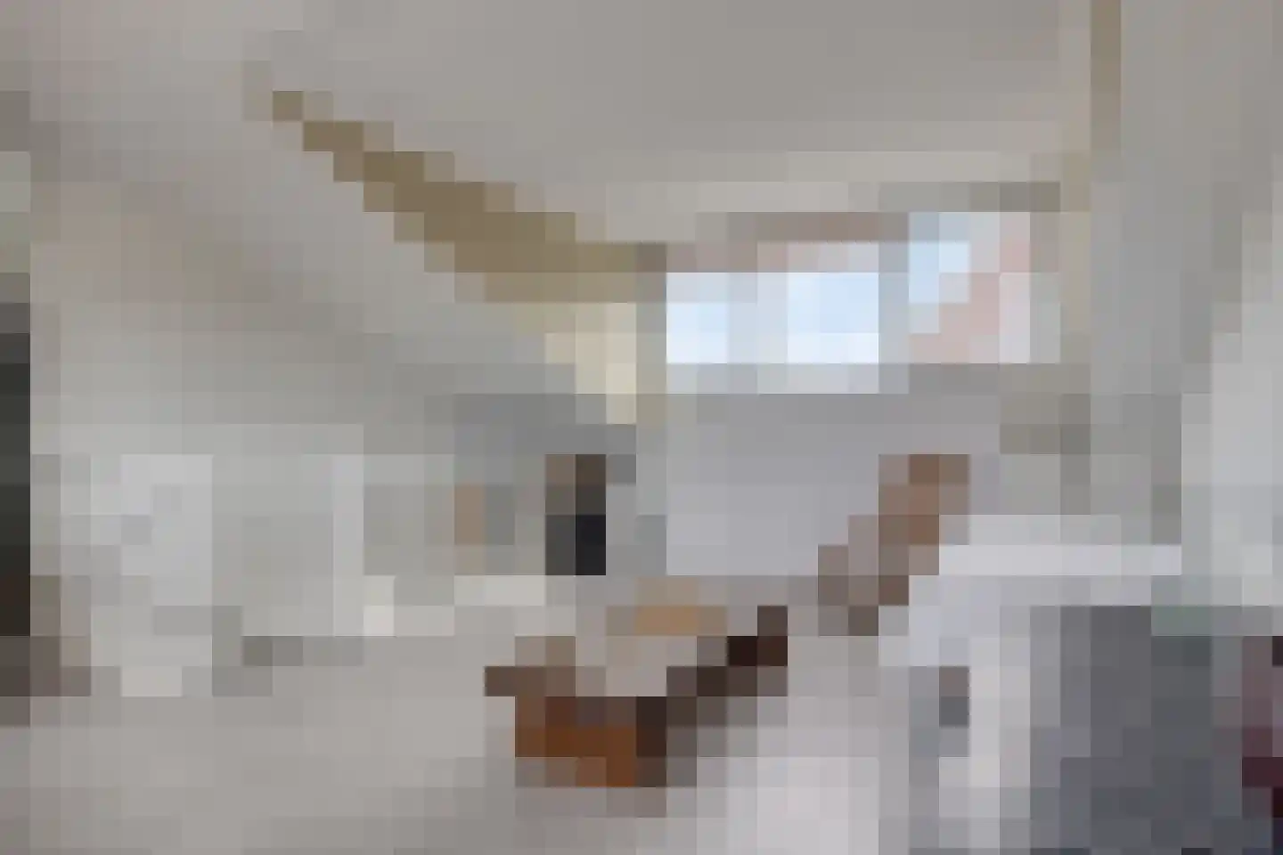 Meestoof 2 Colijnsplaat thumbnail 26