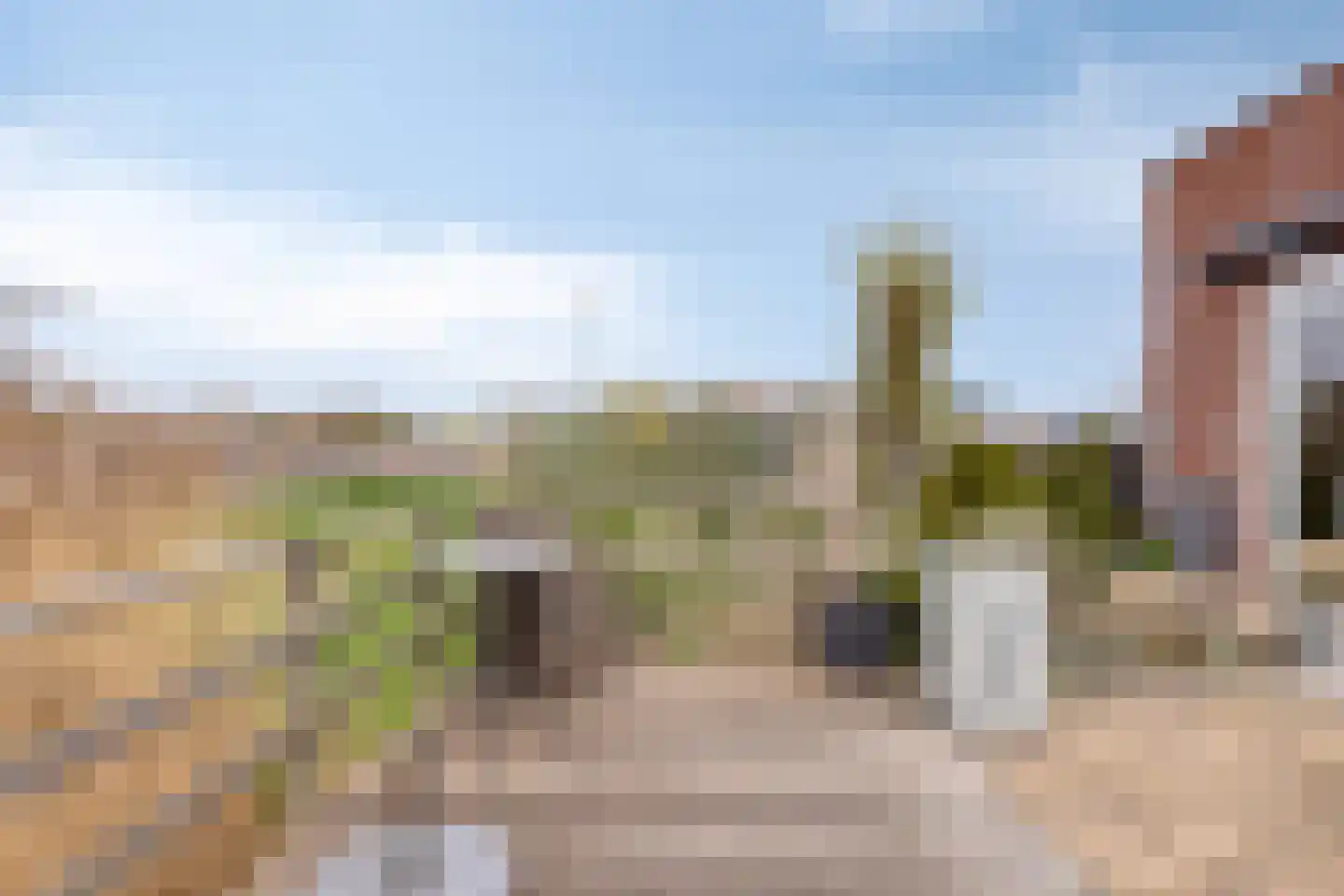 Meestoof 2 Colijnsplaat thumbnail 33