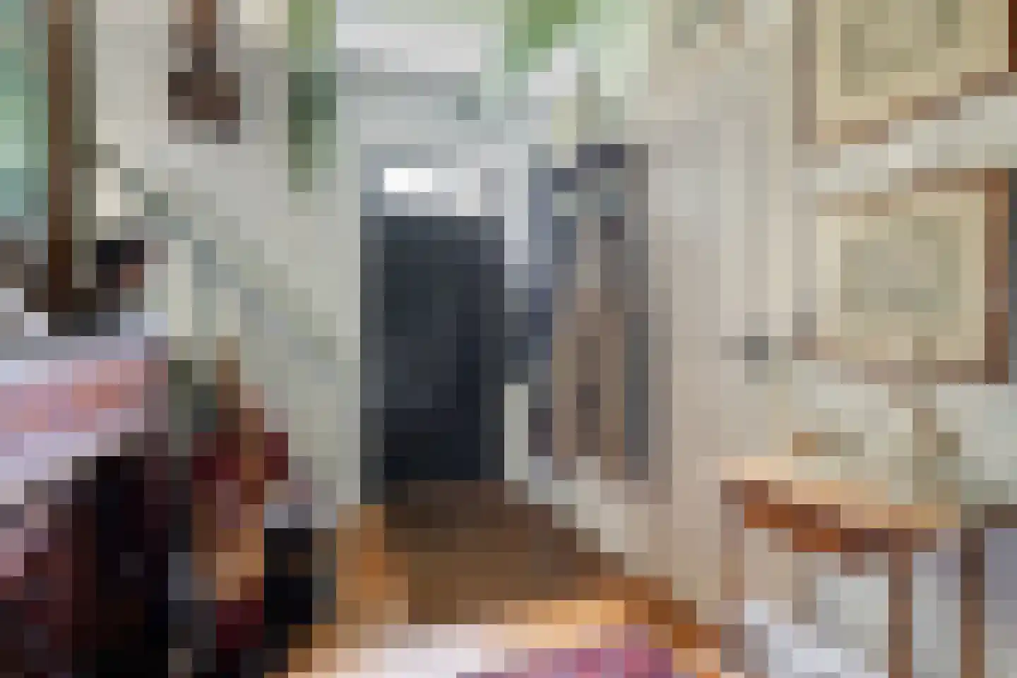 Meestraat 6 Bourtange thumbnail 11