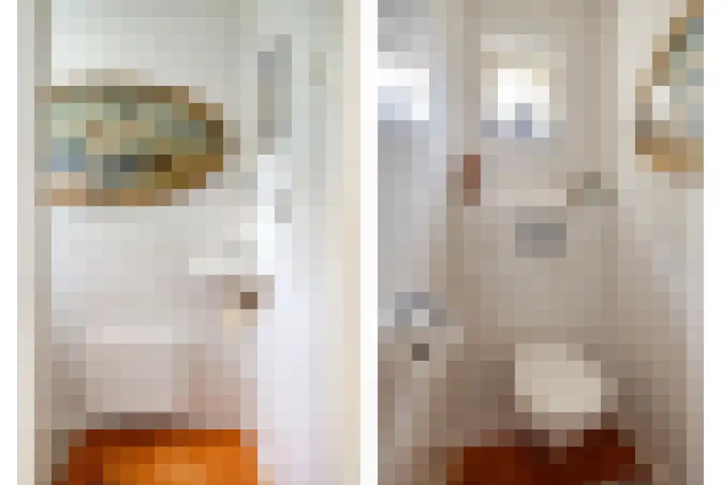 Meestraat 6 Bourtange thumbnail 12