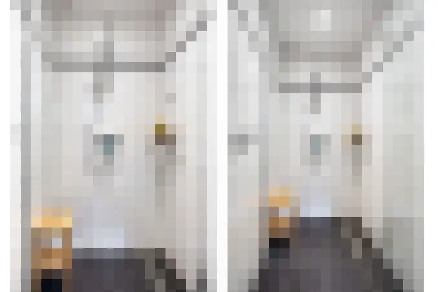 Meestraat 6 Bourtange thumbnail 15