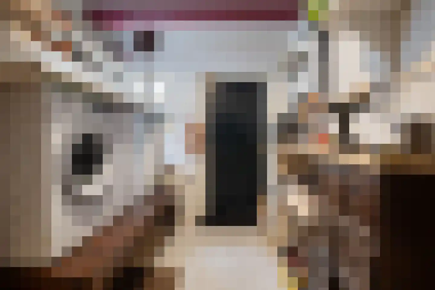 Meestraat 6 Bourtange thumbnail 16