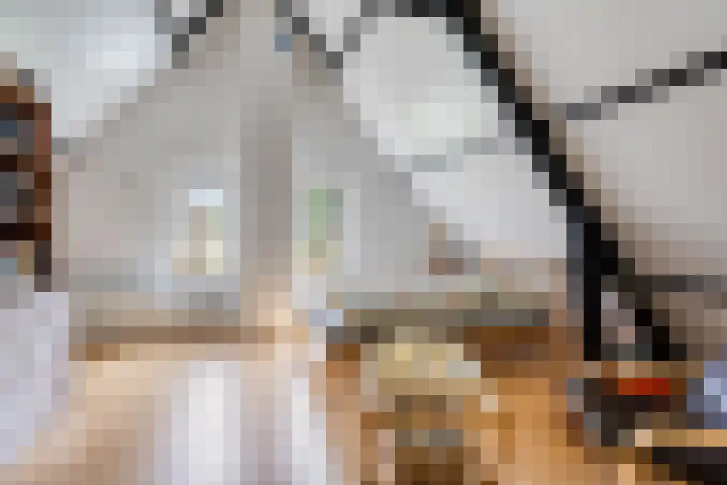Meestraat 6 Bourtange thumbnail 19