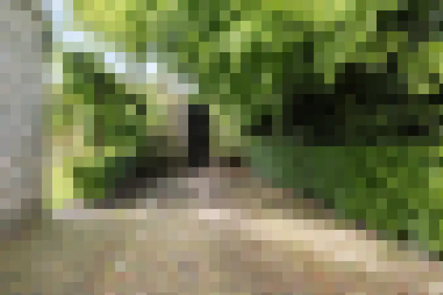 Meestraat 6 Bourtange thumbnail 24