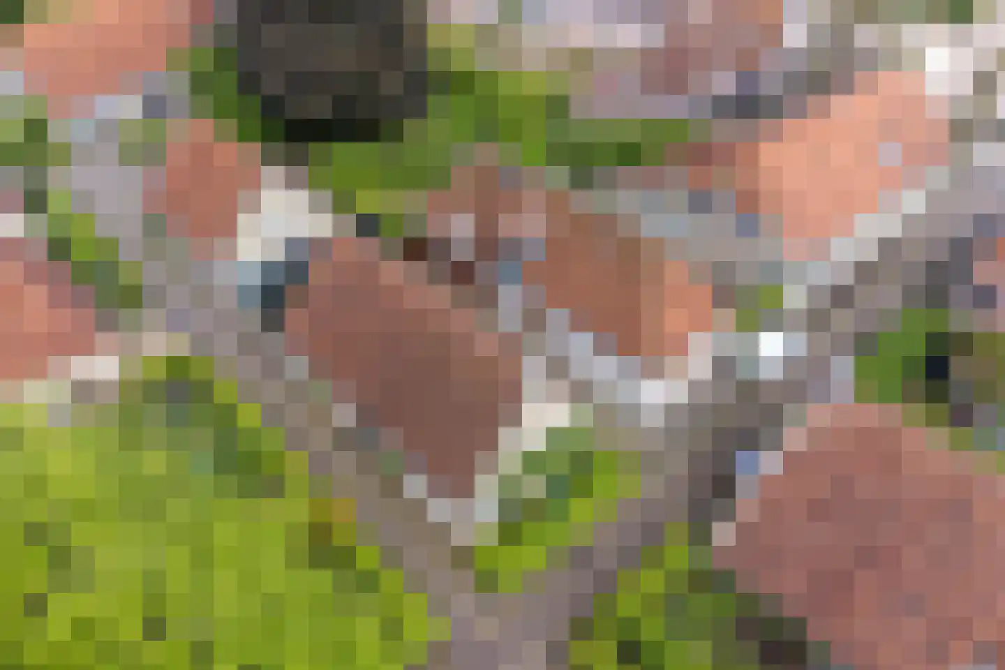 Meestraat 6 Bourtange thumbnail 25
