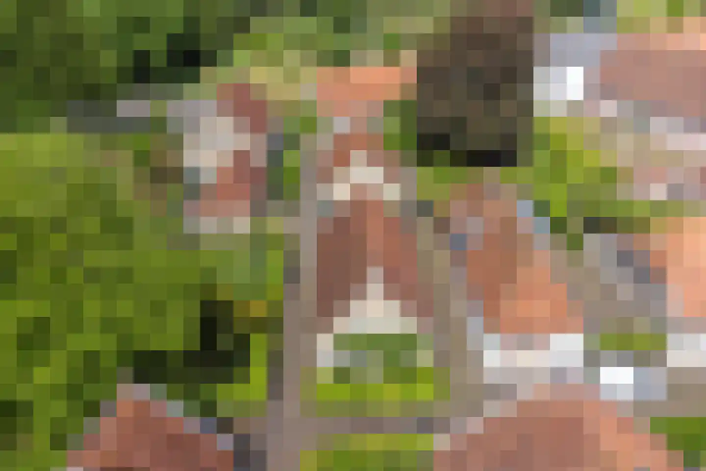 Meestraat 6 Bourtange thumbnail 26