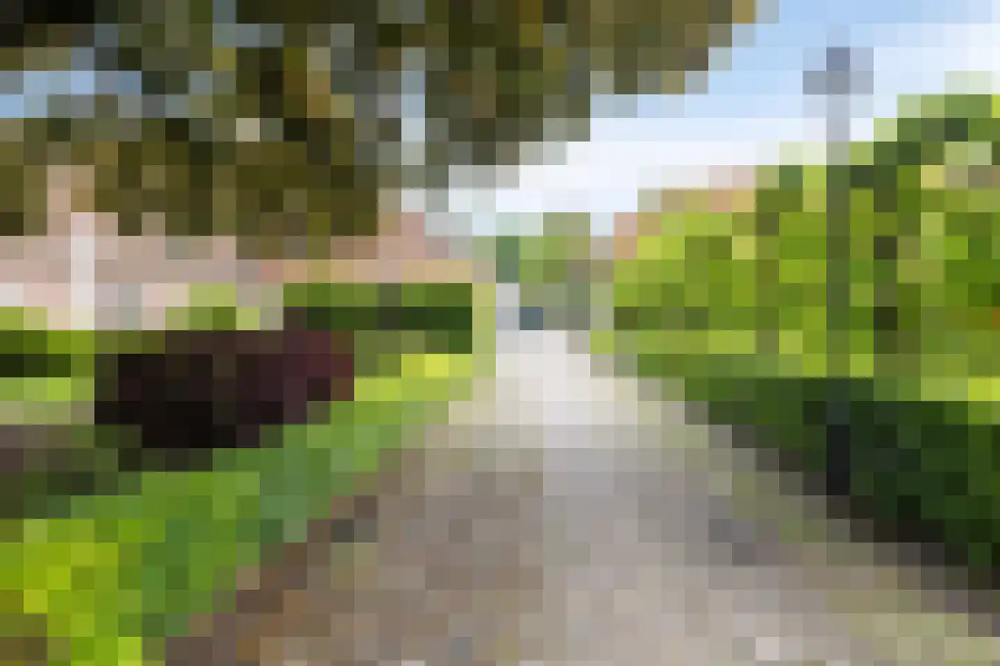 Meestraat 6 Bourtange thumbnail 30