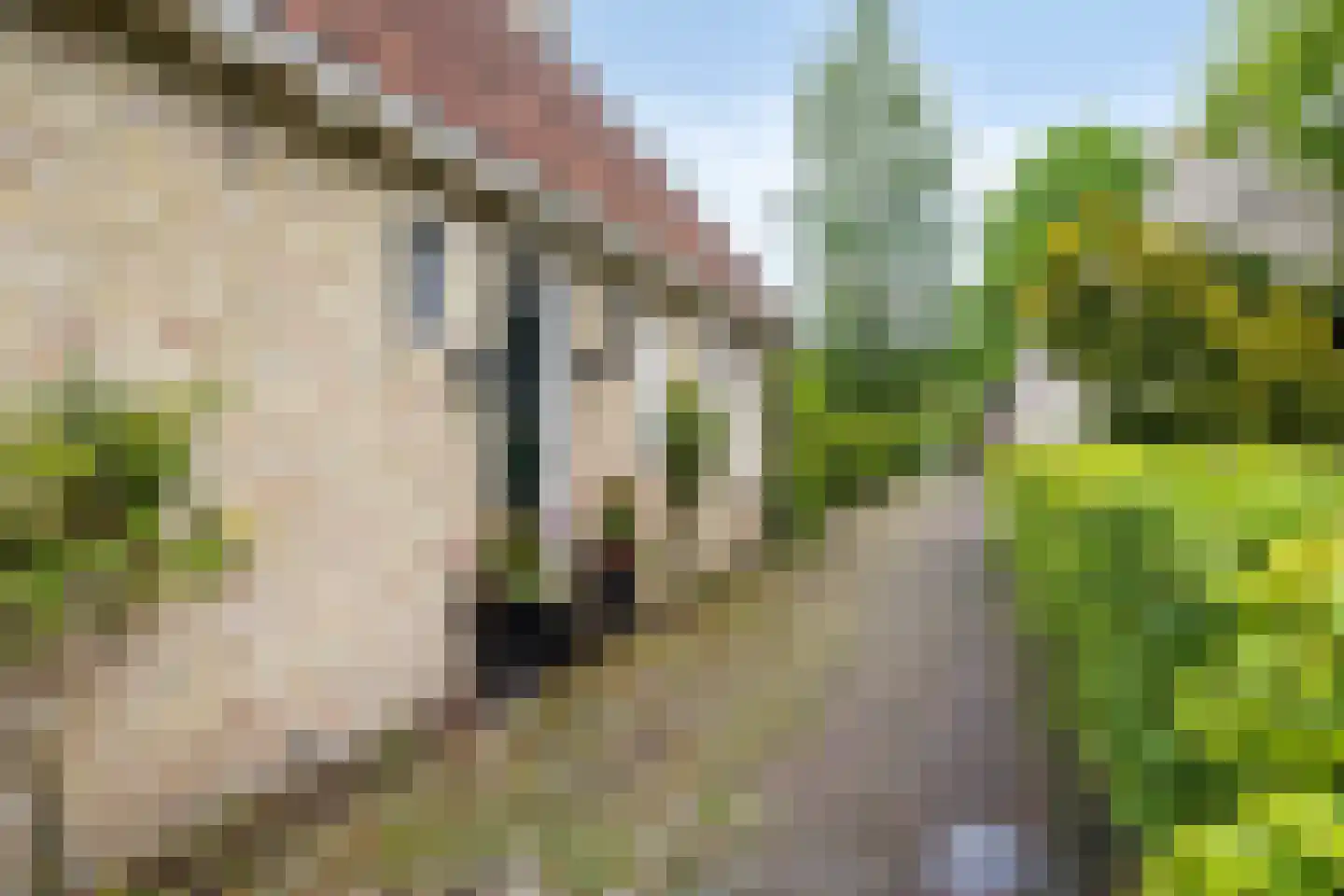 Meestraat 6 Bourtange thumbnail 38