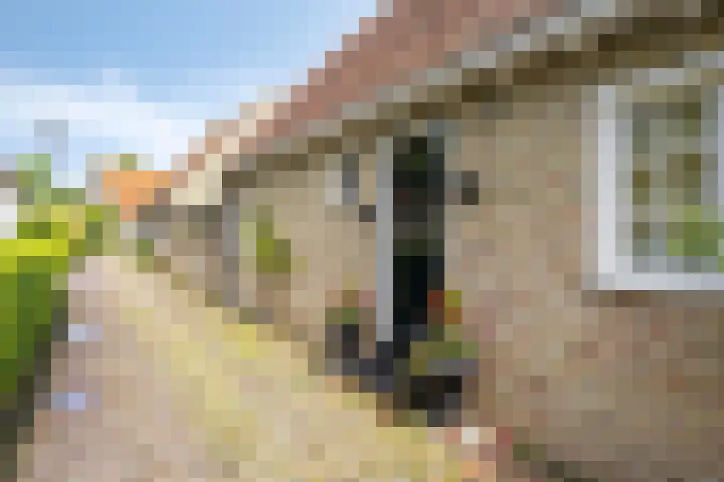 Meestraat 6 Bourtange thumbnail 4