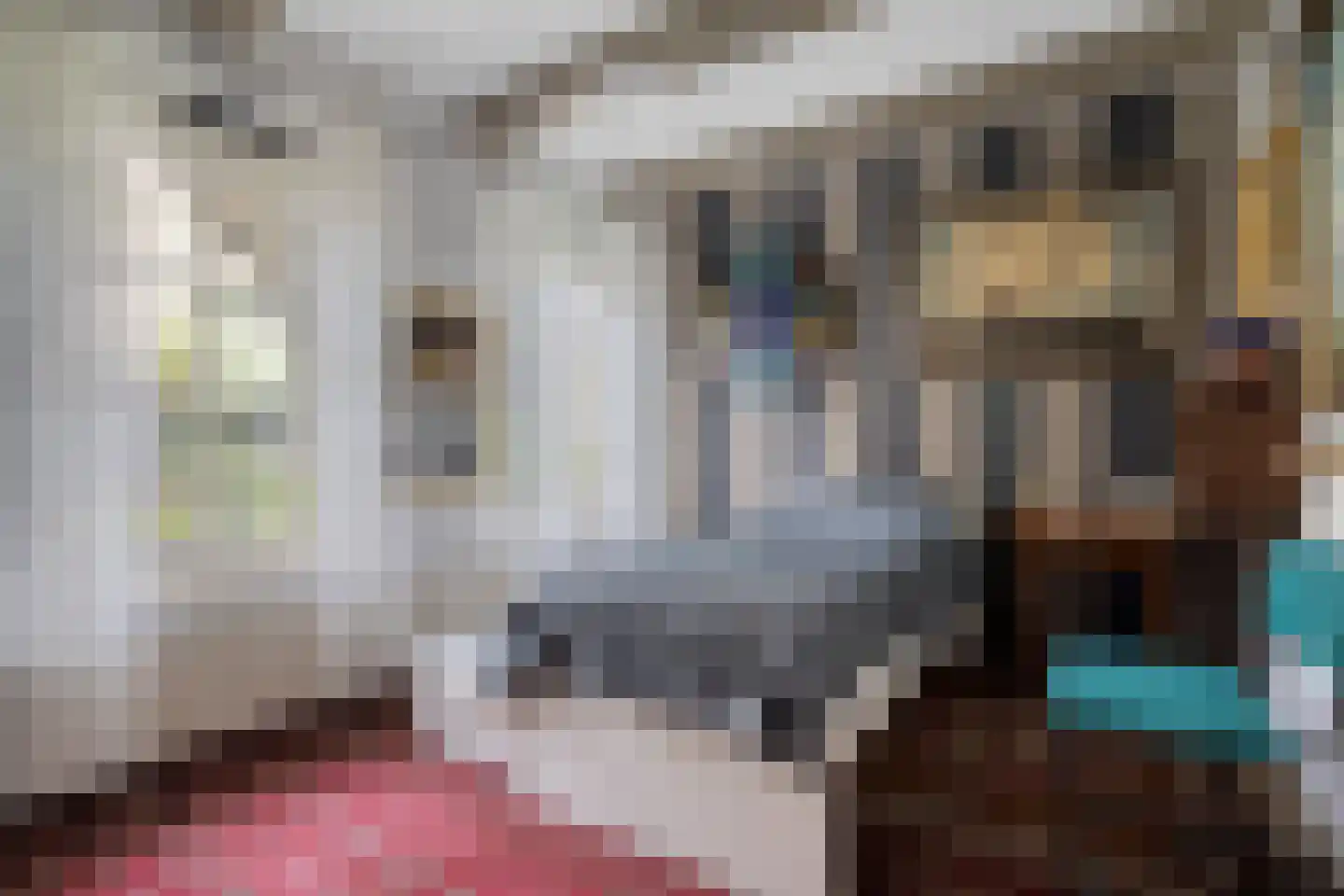 Meestraat 6 Bourtange thumbnail 8