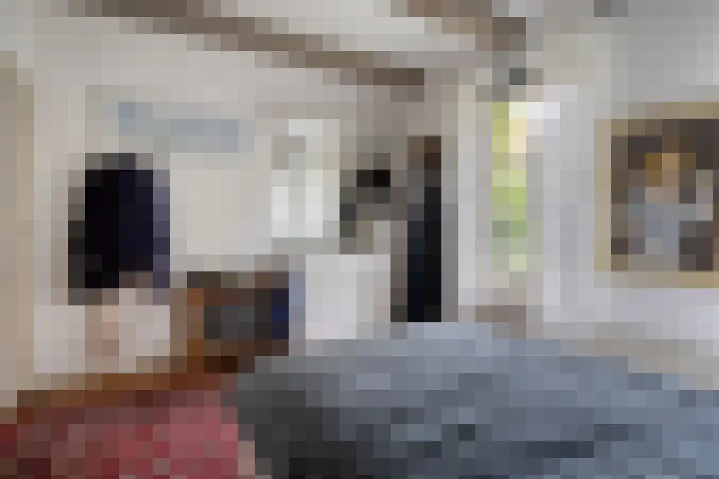 Meestraat 6 Bourtange thumbnail 9