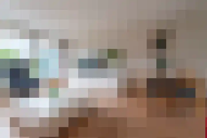 Meesvink 33 Veenendaal thumbnail 11