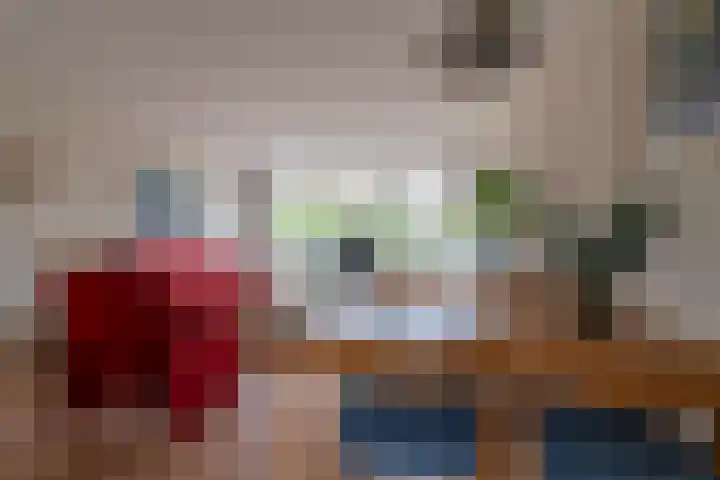 Meesvink 33 Veenendaal thumbnail 12