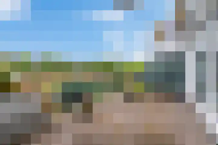 Meesvink 33 Veenendaal thumbnail 14