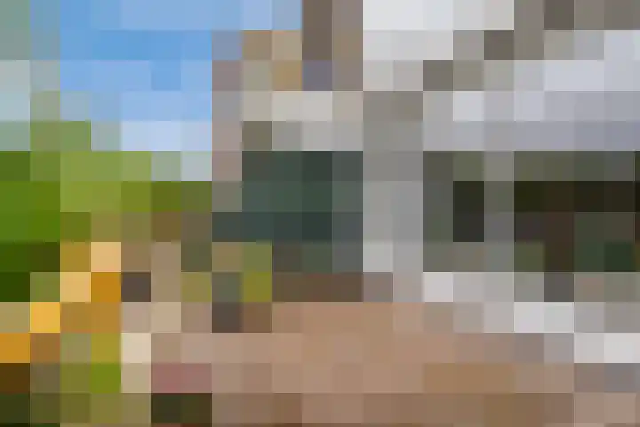 Meesvink 33 Veenendaal thumbnail 15