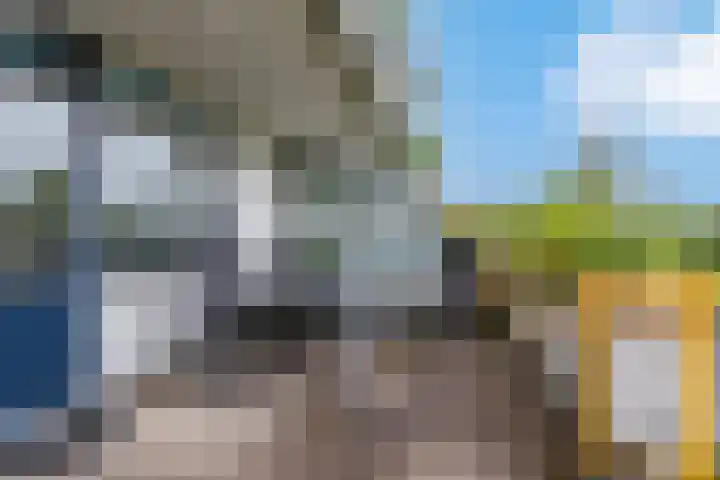Meesvink 33 Veenendaal thumbnail 16