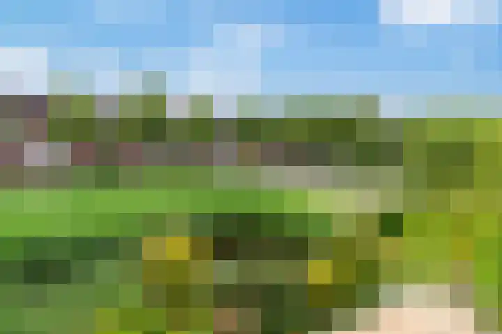 Meesvink 33 Veenendaal thumbnail 17