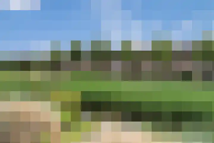 Meesvink 33 Veenendaal thumbnail 18