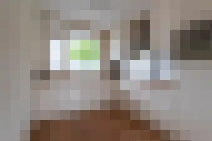 Meesvink 33 Veenendaal thumbnail 19
