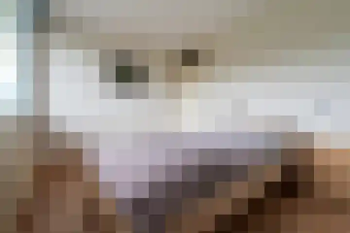 Meesvink 33 Veenendaal thumbnail 24