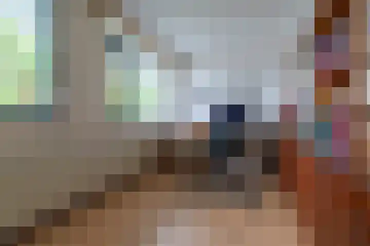 Meesvink 33 Veenendaal thumbnail 28