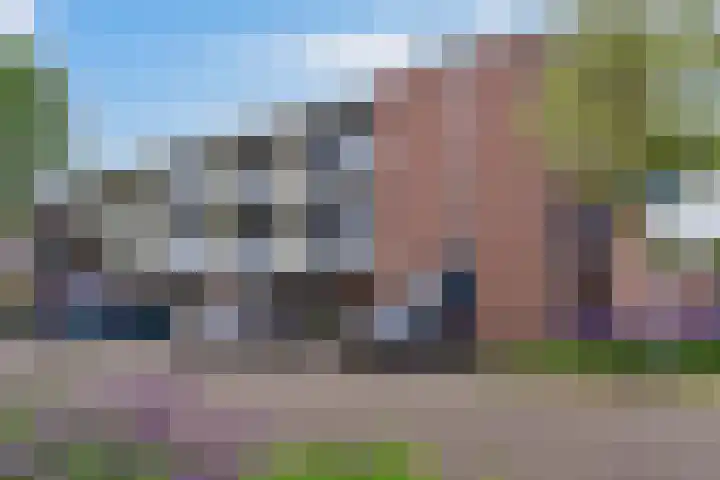 Meesvink 33 Veenendaal thumbnail 31