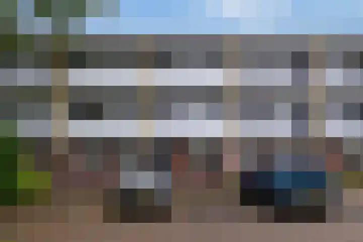 Meesvink 33 Veenendaal thumbnail 32