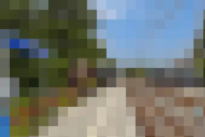 Meesvink 33 Veenendaal thumbnail 33