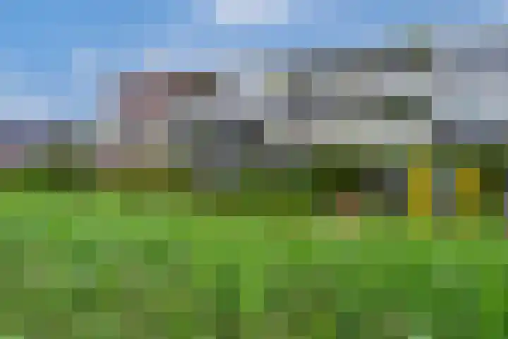 Meesvink 33 Veenendaal thumbnail 4