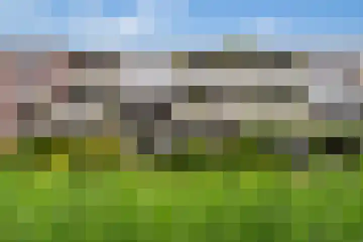 Meesvink 33 Veenendaal thumbnail 5