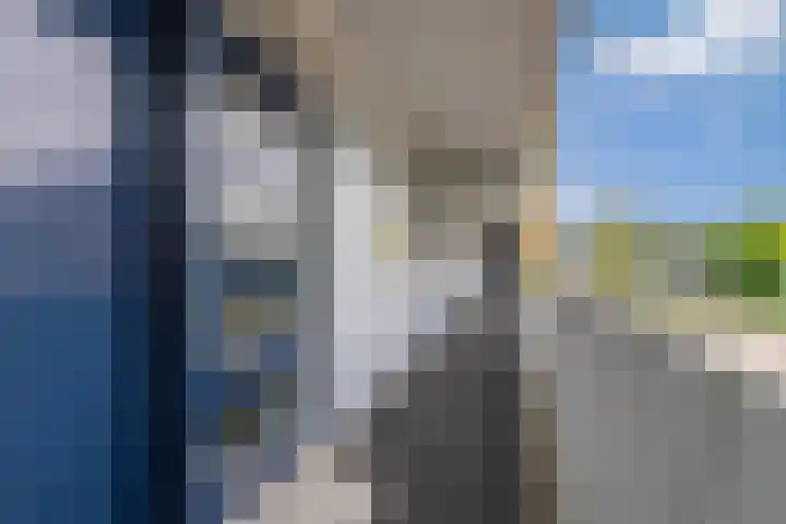 Meesvink 33 Veenendaal thumbnail 7
