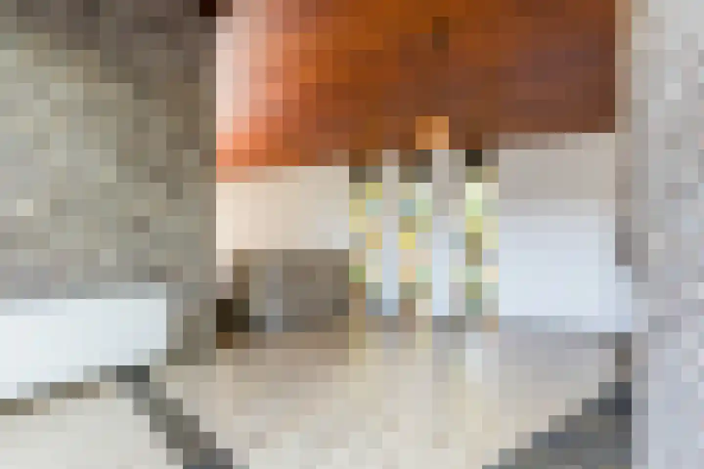 Meesweg 1 Berg en Terblijt thumbnail 16