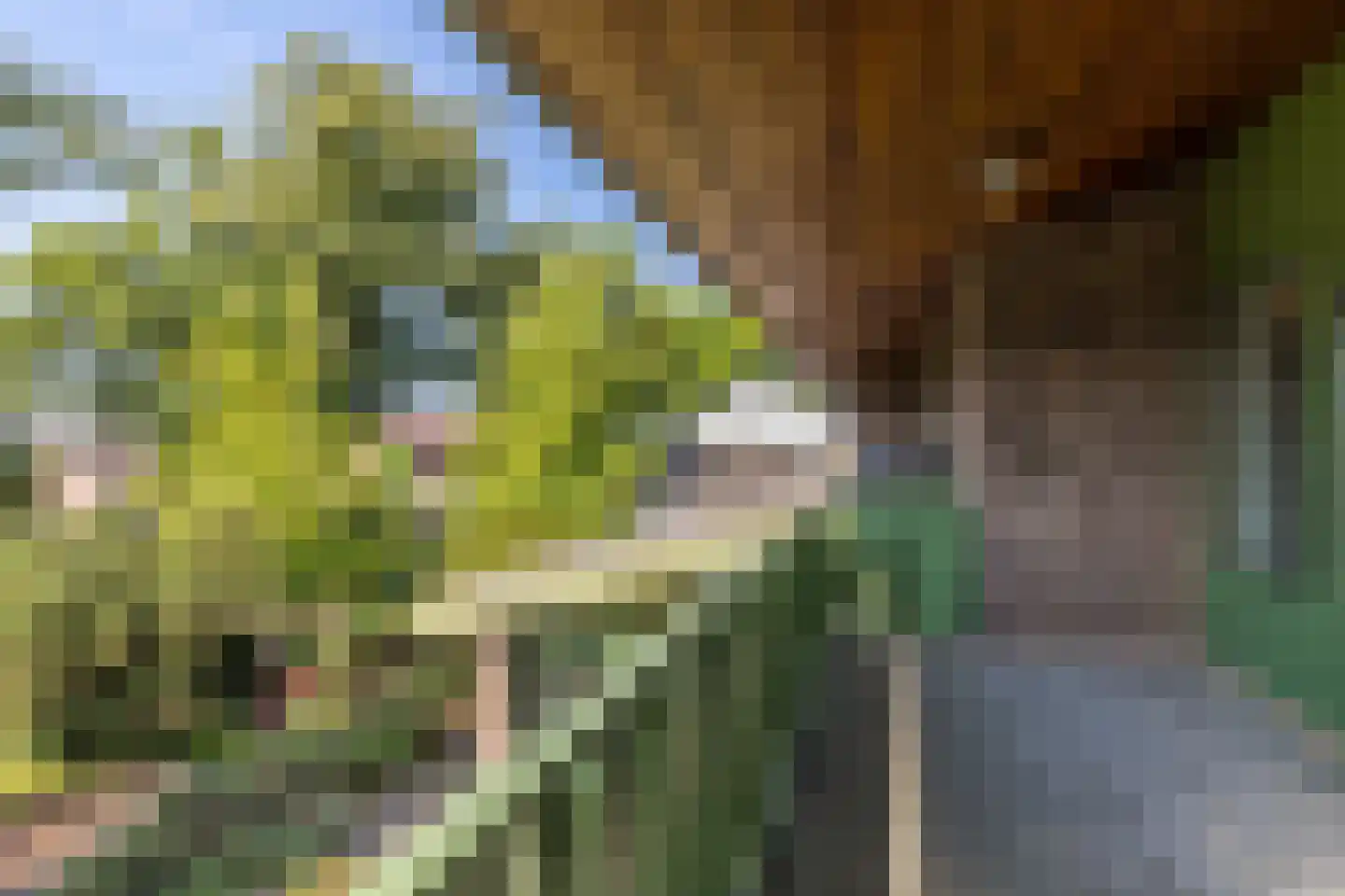 Meesweg 1 Berg en Terblijt thumbnail 30