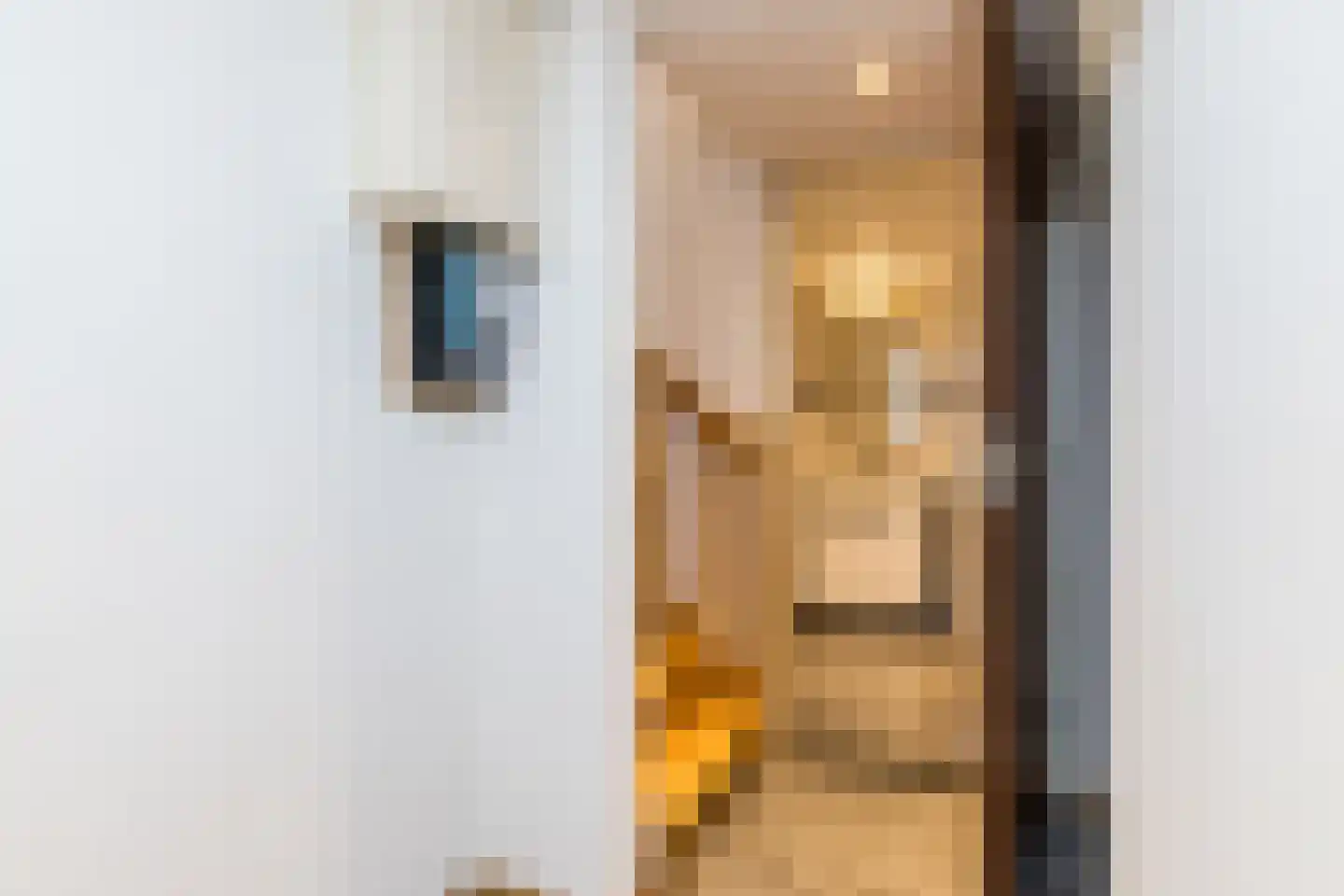 Meesweg 1 Berg en Terblijt thumbnail 44