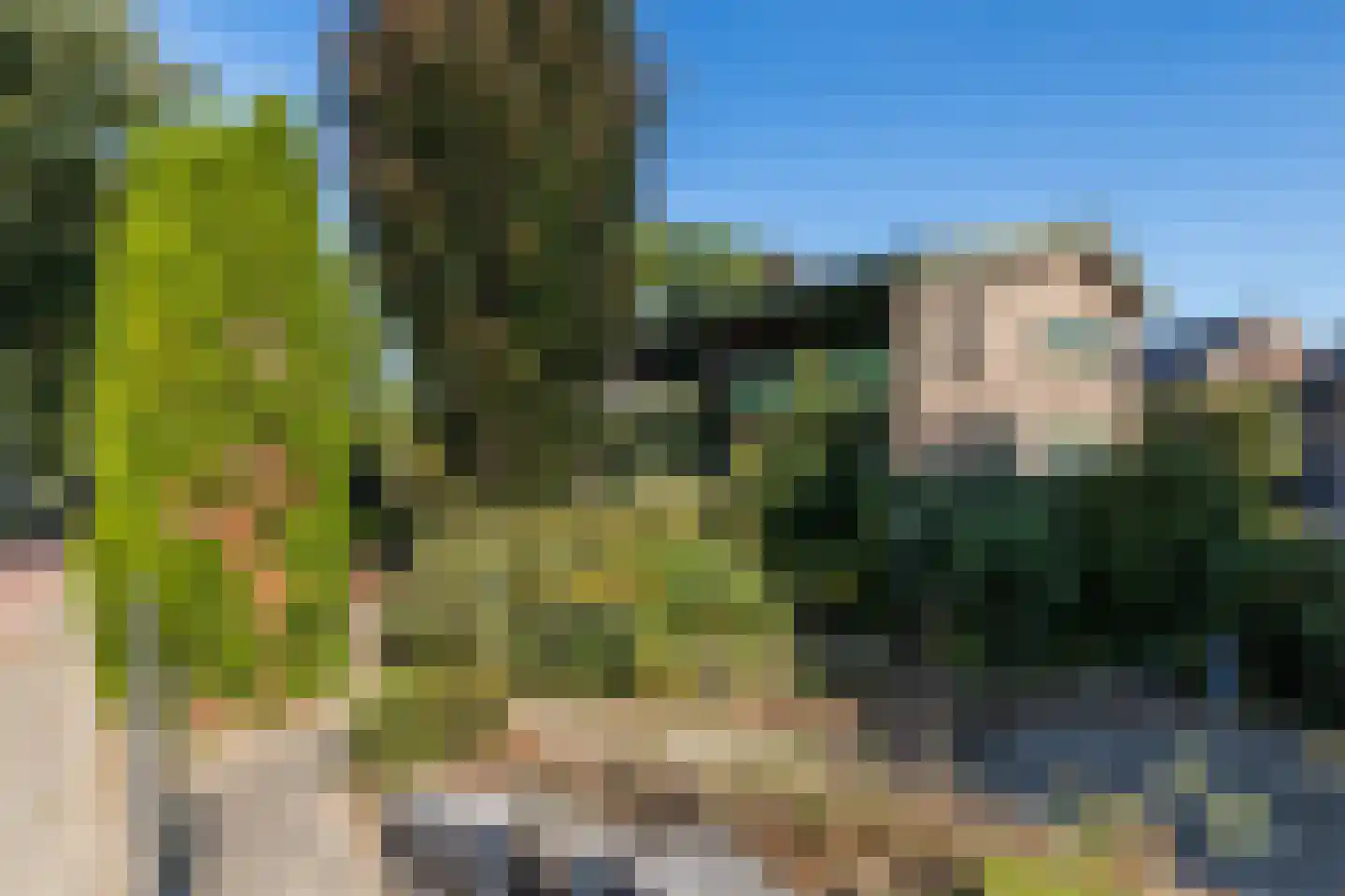 Meesweg 1 Berg en Terblijt thumbnail 47