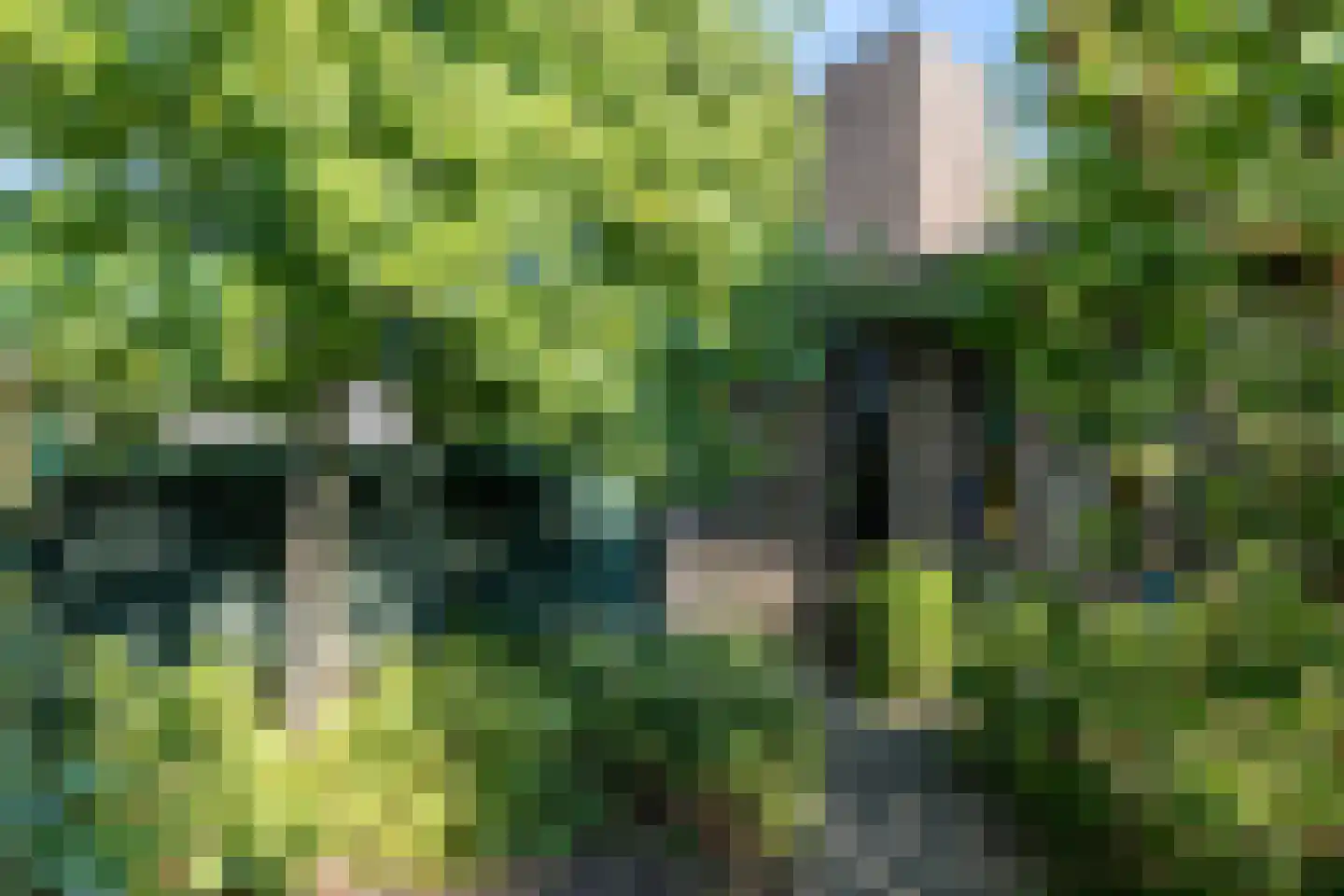 Meesweg 1 Berg en Terblijt thumbnail 48