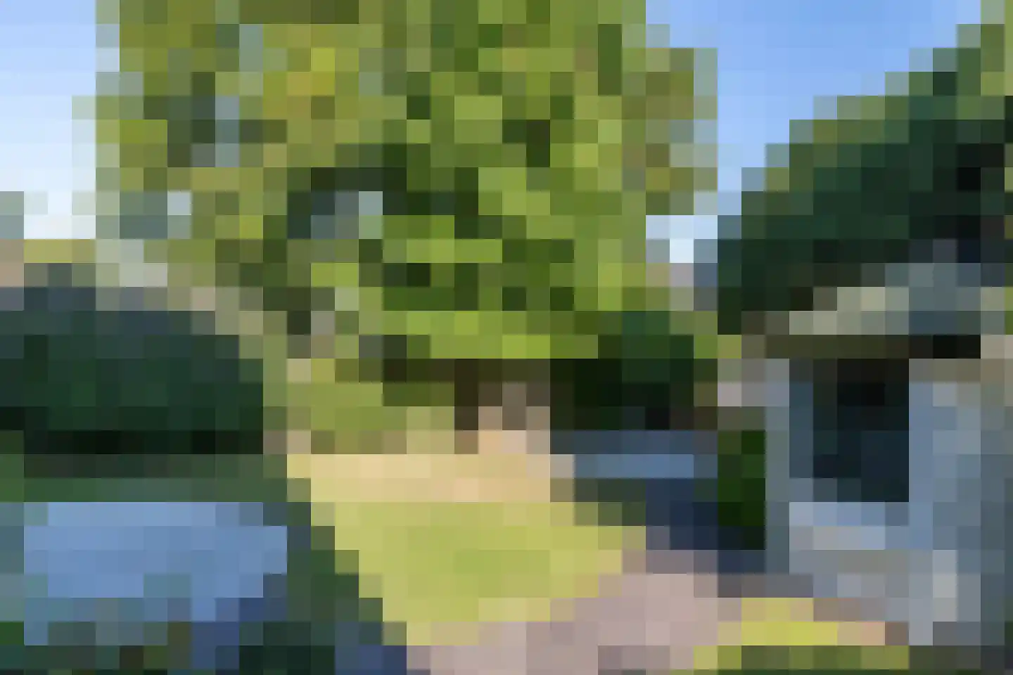 Meesweg 1 Berg en Terblijt thumbnail 49