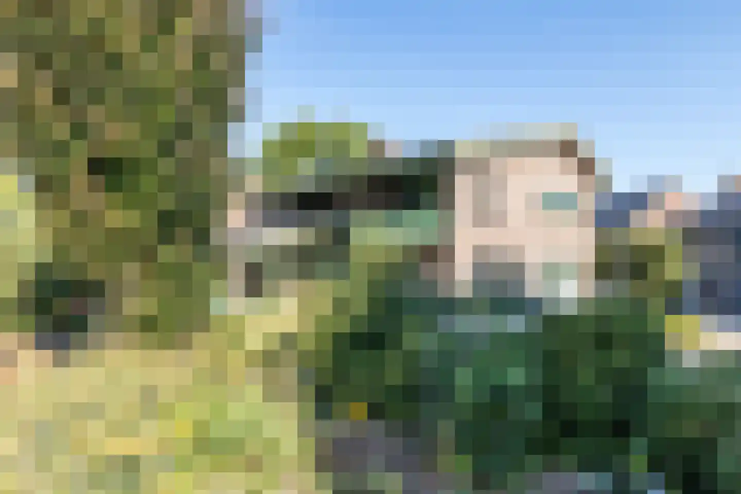 Meesweg 1 Berg en Terblijt thumbnail 5