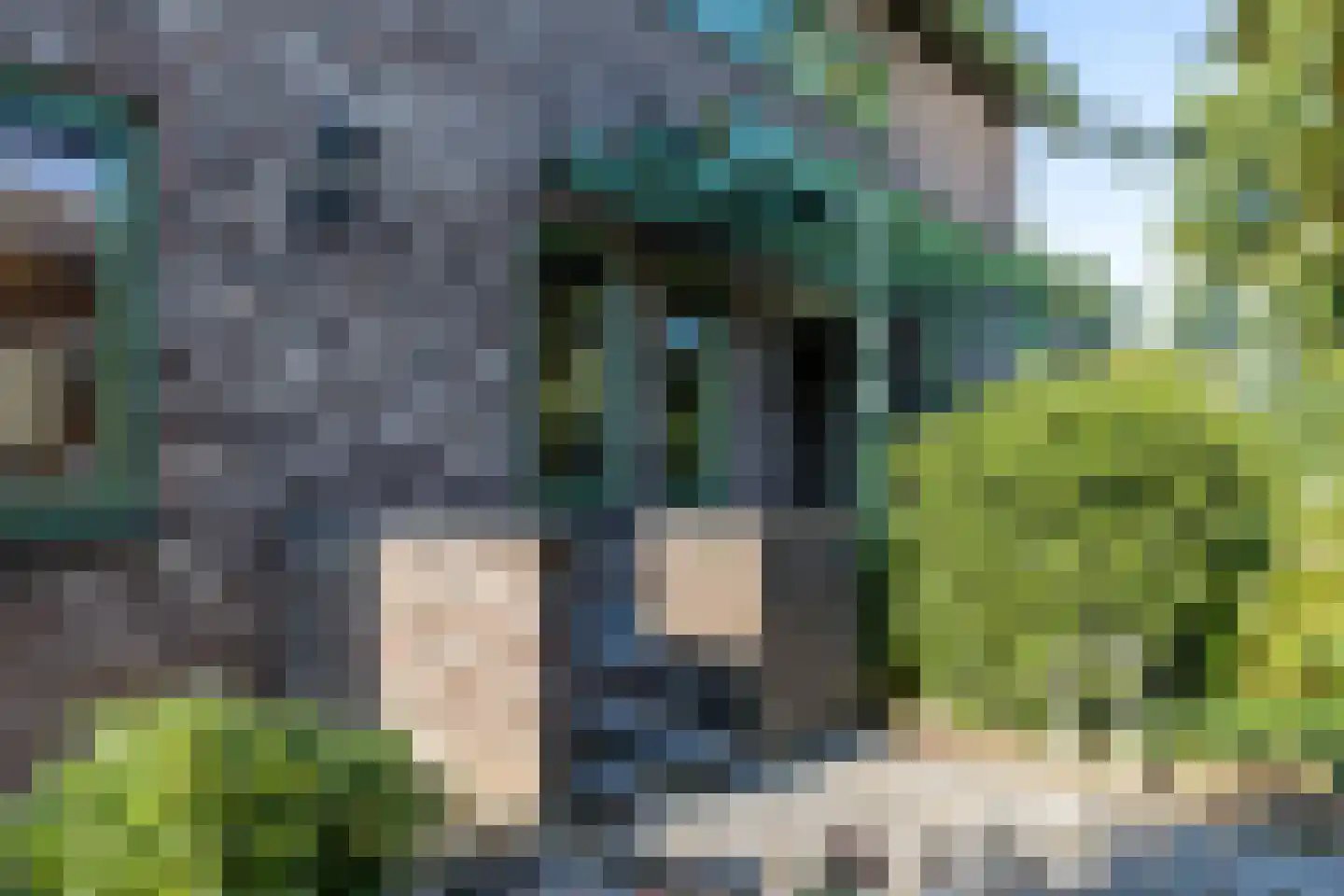 Meesweg 1 Berg en Terblijt thumbnail 6