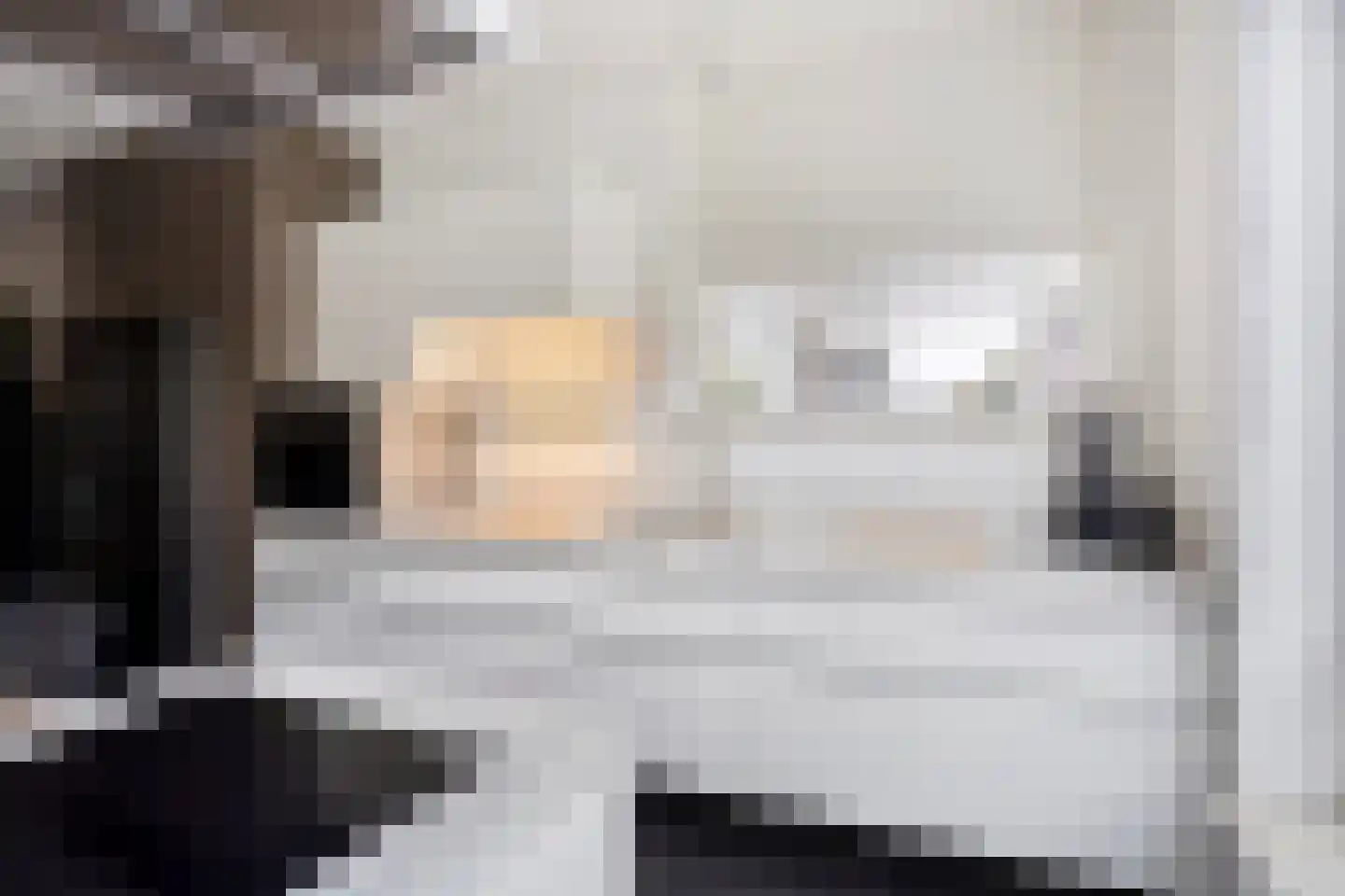 Meesweg 11 Berg en Terblijt thumbnail 10