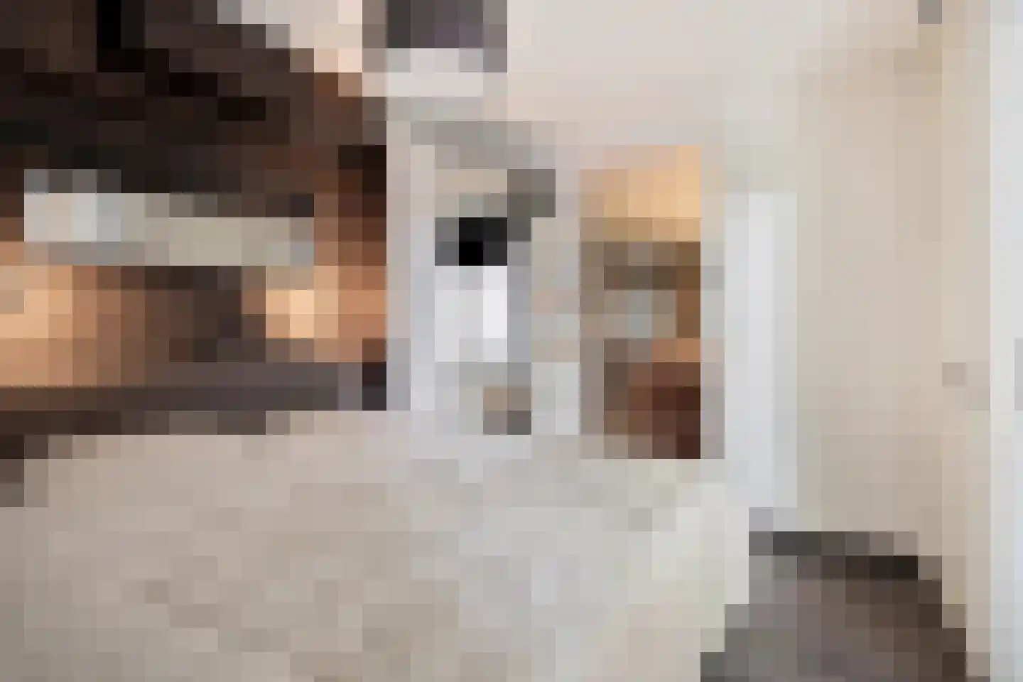 Meesweg 11 Berg en Terblijt thumbnail 12