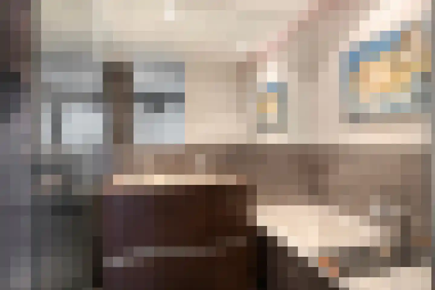 Meesweg 11 Berg en Terblijt thumbnail 13