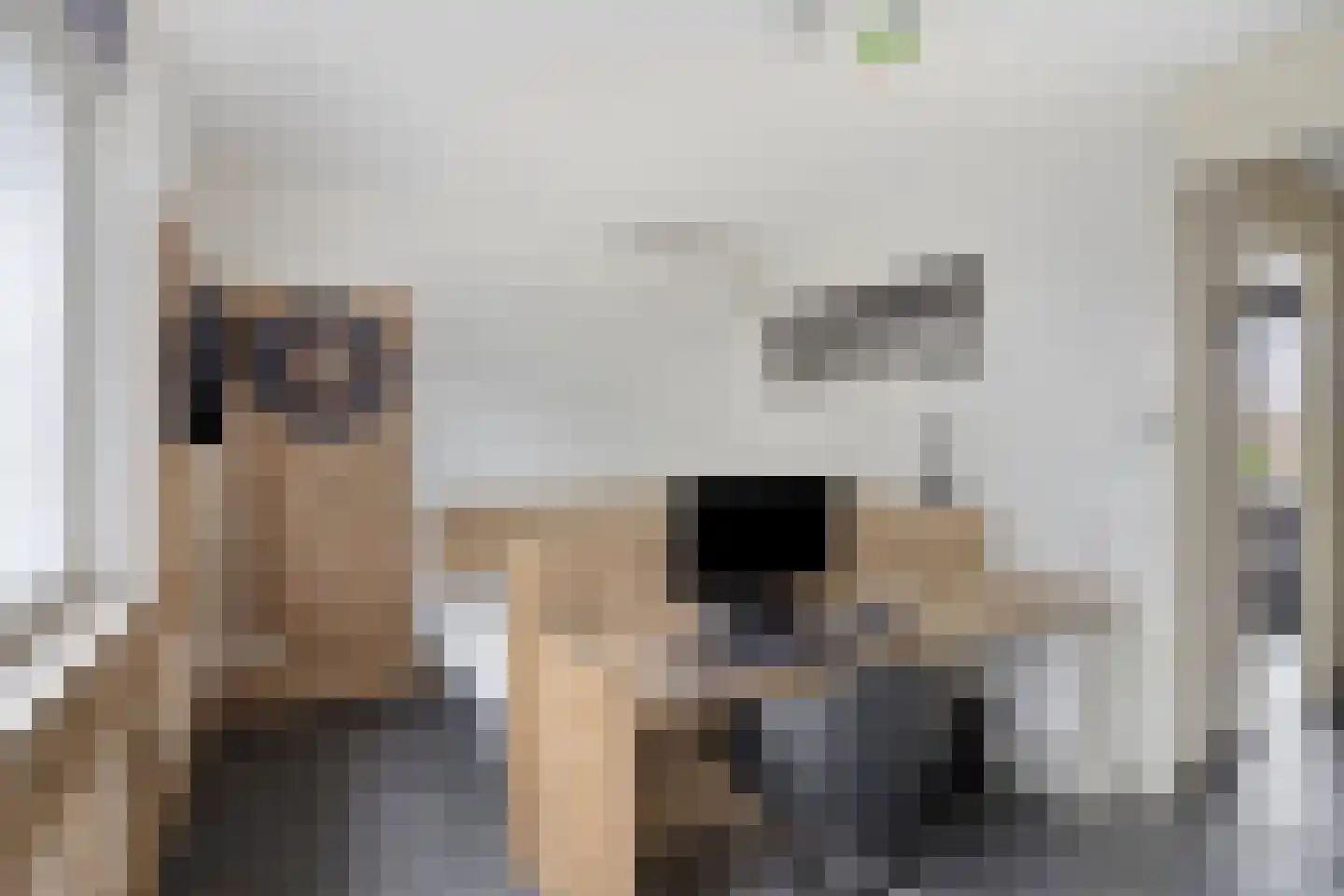 Meesweg 11 Berg en Terblijt thumbnail 18