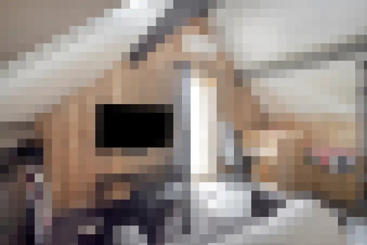 Meesweg 11 Berg en Terblijt thumbnail 23