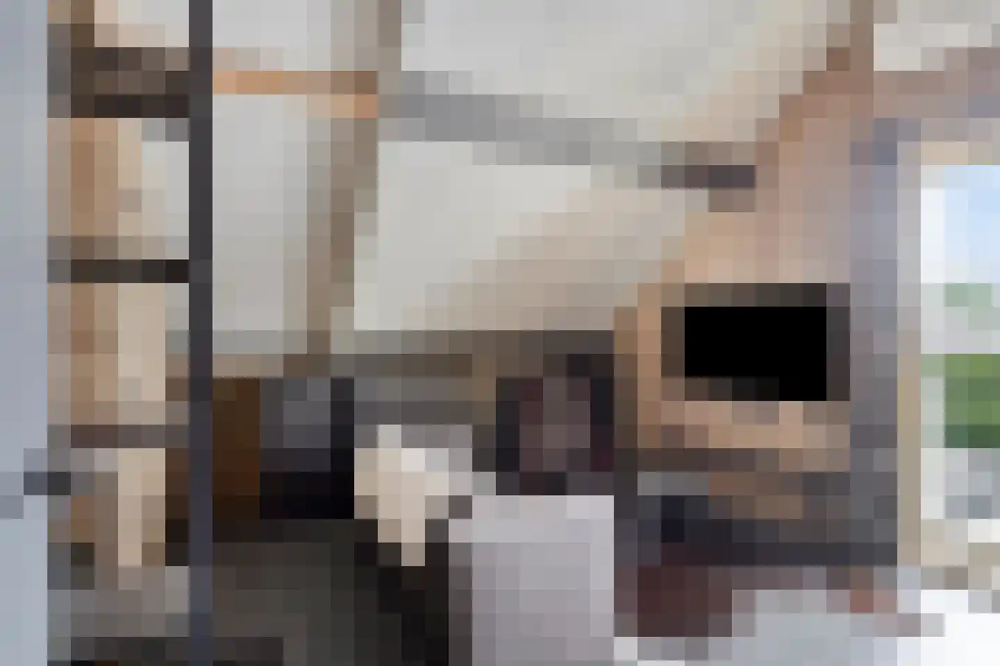 Meesweg 11 Berg en Terblijt thumbnail 24