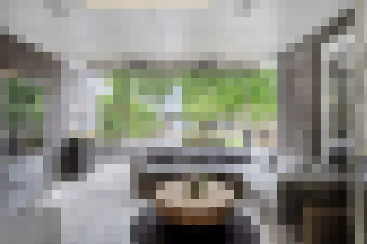 Meesweg 11 Berg en Terblijt thumbnail 26