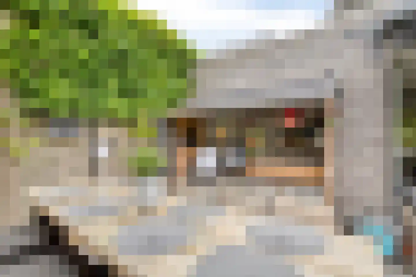 Meesweg 11 Berg en Terblijt thumbnail 27