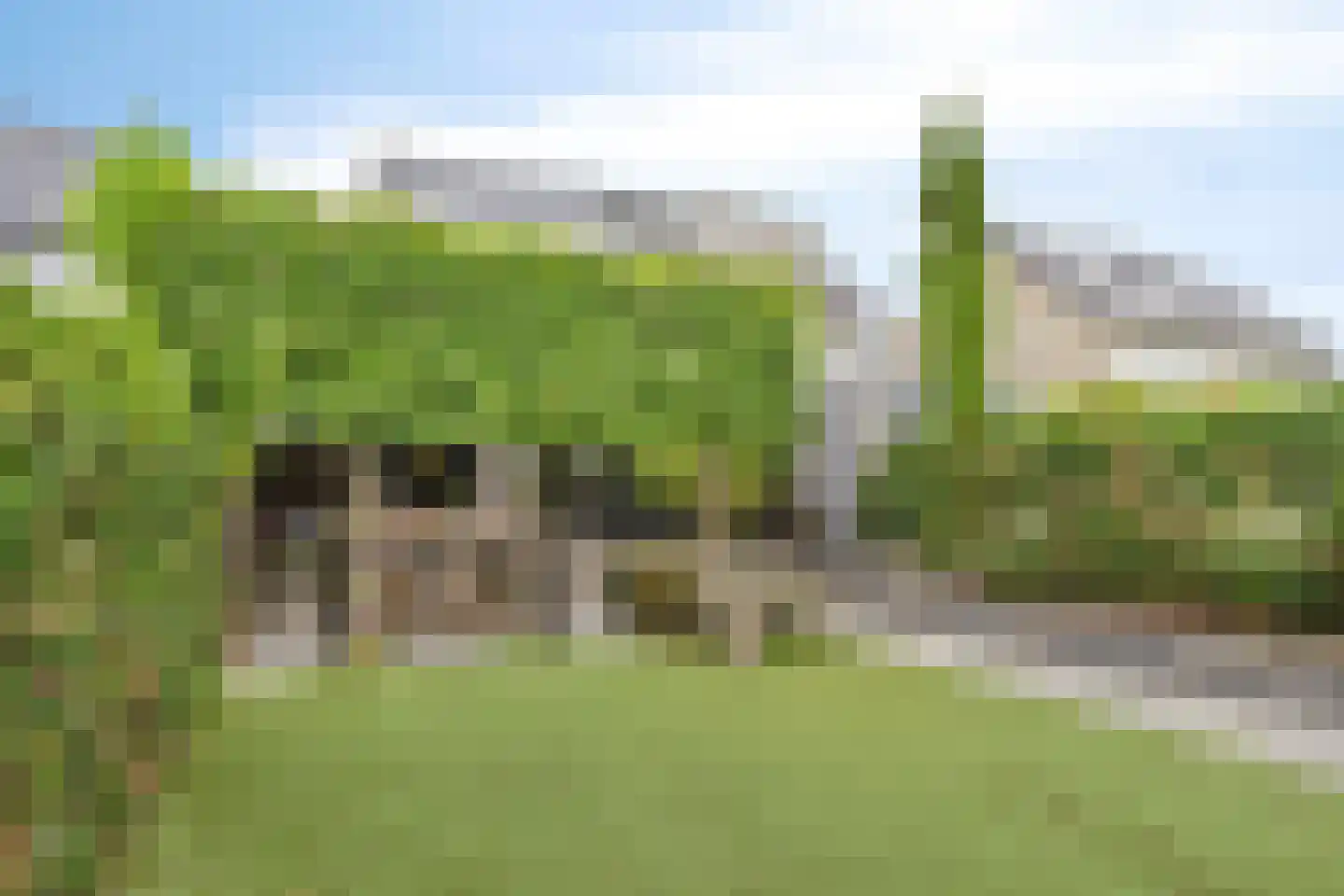 Meesweg 11 Berg en Terblijt thumbnail 28