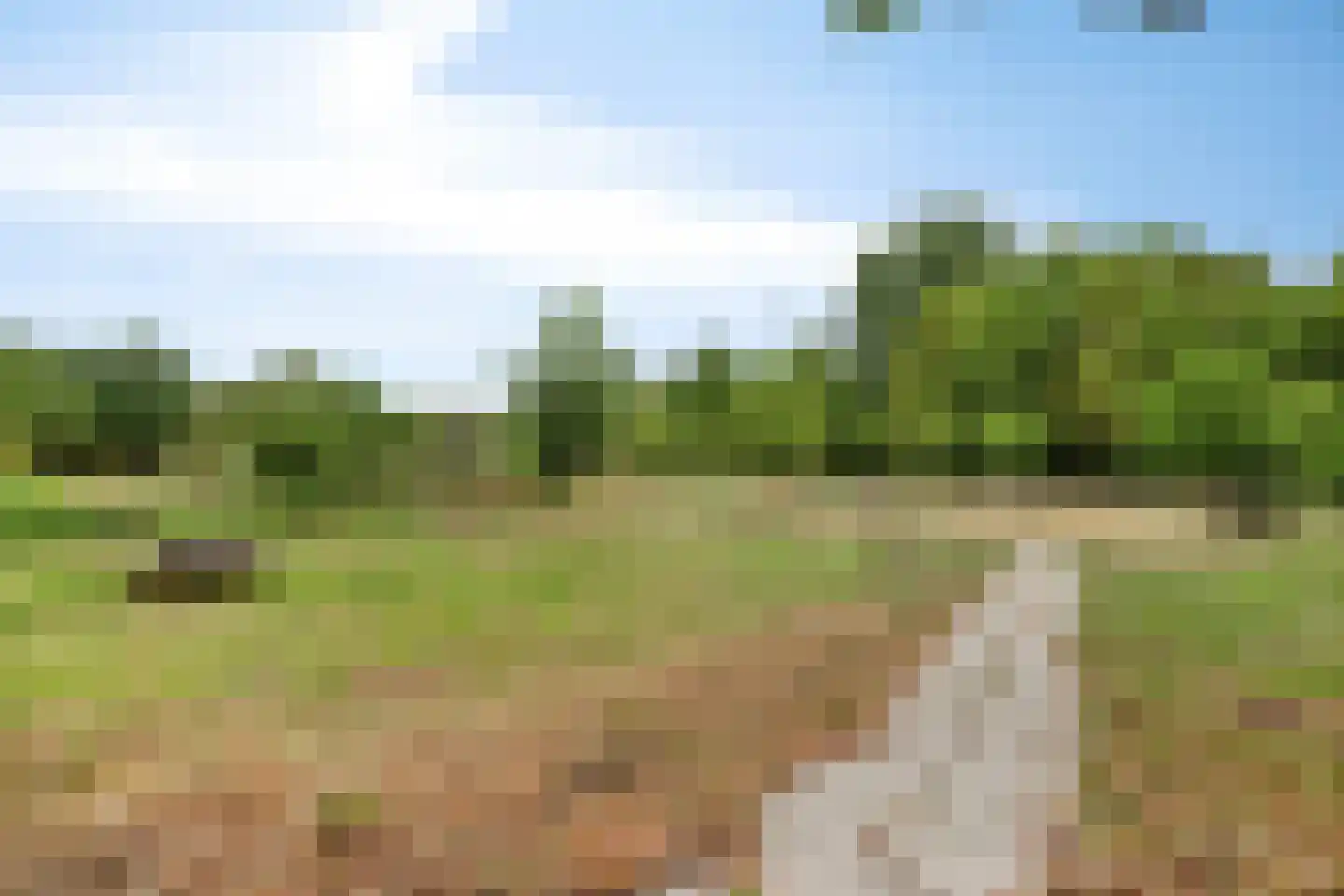 Meesweg 11 Berg en Terblijt thumbnail 33