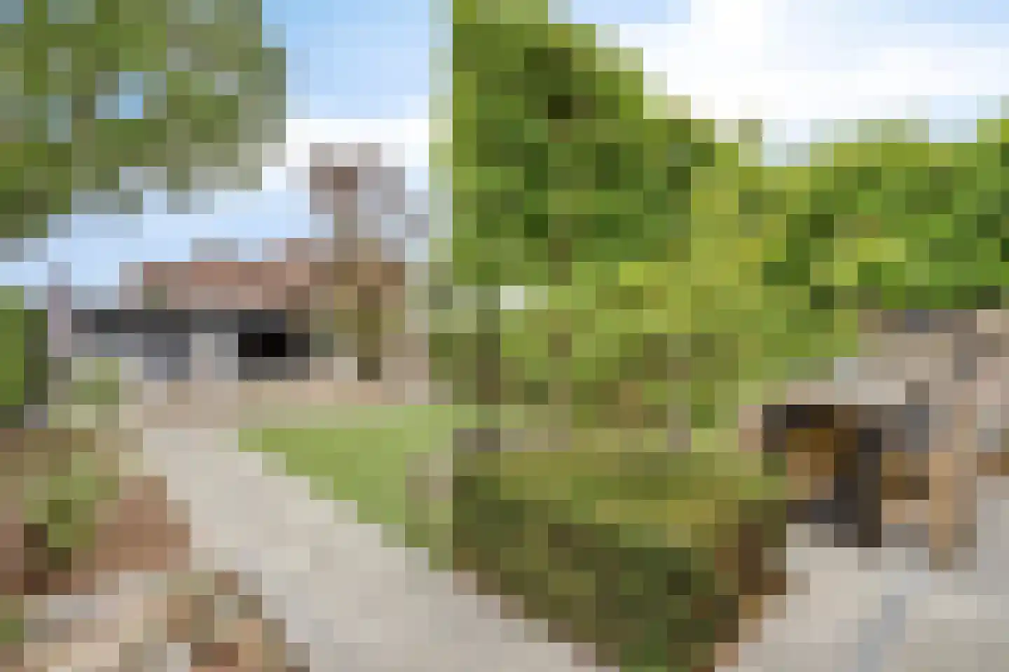 Meesweg 11 Berg en Terblijt thumbnail 4